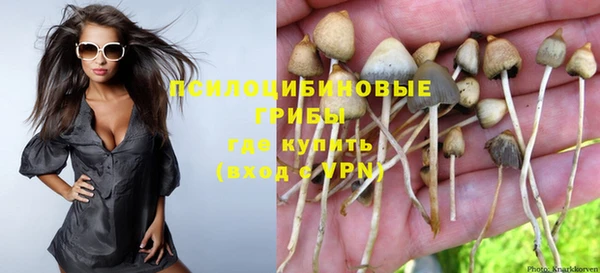 jwh Нефтекумск