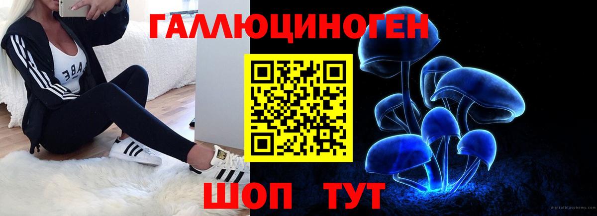 Мирный  Галлюциногенные грибы MAGIC MUSHROOMS  Галлюциногенные грибы Psilocybe  Вход с VPN 