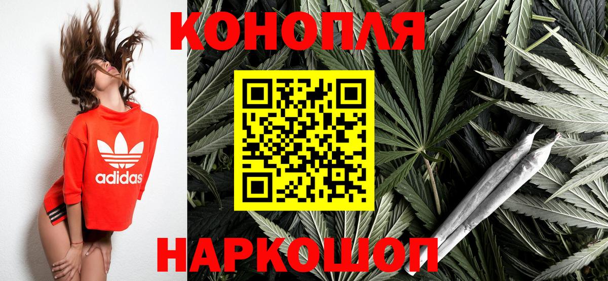 МАРИХУАНА конопля Мирный